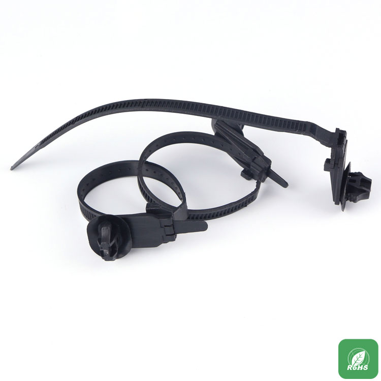 Mount Tie PTCV
